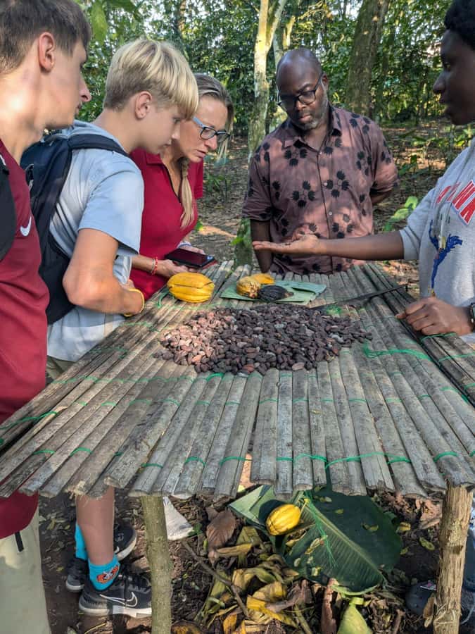 Boti Falls, Umbrella Rock, Aburi Gardens & Cocoa Farm Tour - What the guides add to the day