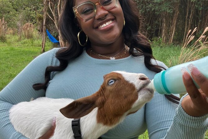 Bottle Feed & Cuddle Baby Goats at Ohana Ranch (Big Island) - Cuddles, climbing, and farm photos