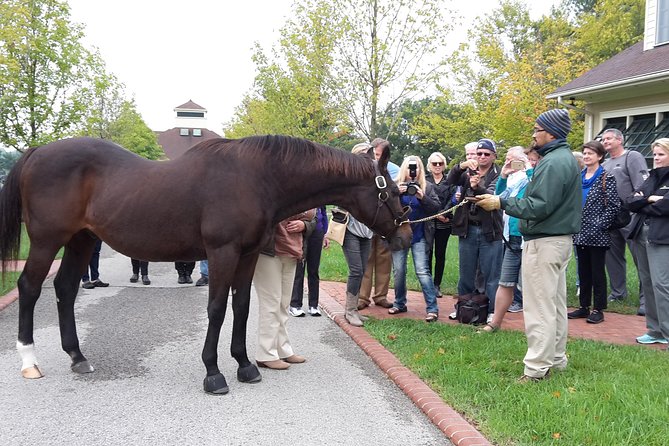 Bourbon Distillery & Horse Farm Tours - Lunch and the value of the $179 price