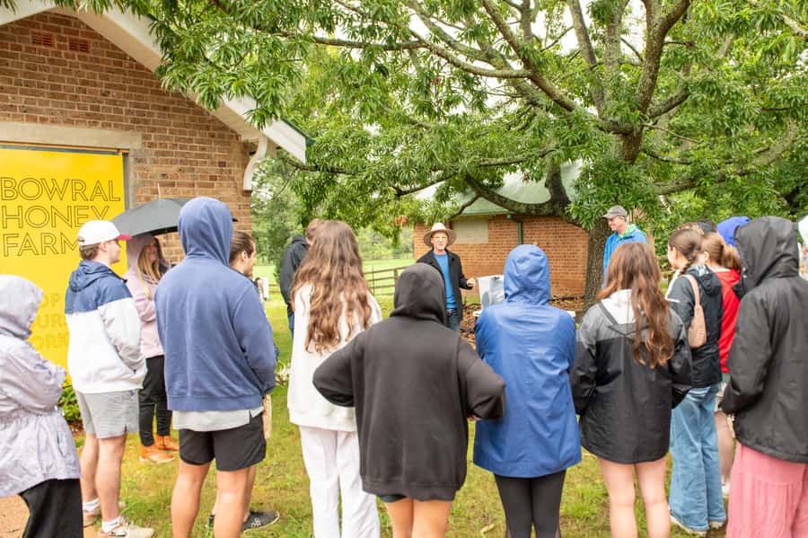 Bowral Honey Farm Tour, Honey Tasting & morning Tea - The five-minute safety briefing