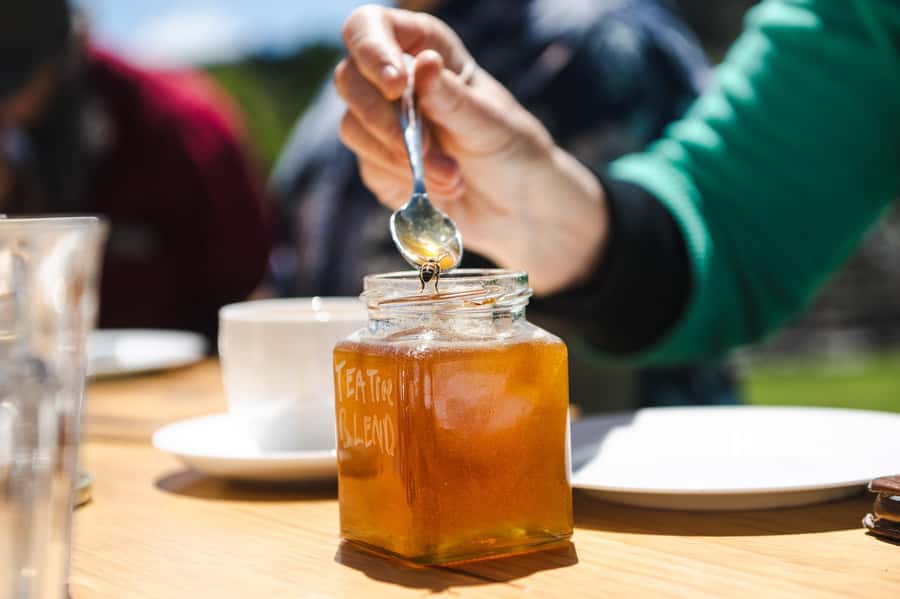 Bowral Honey Farm Tour, Honey Tasting & morning Tea - Comparing honeys from different flowers
