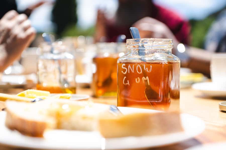 Bowral Honey Farm Tour, Honey Tasting & morning Tea - Morning tea beside the private lake