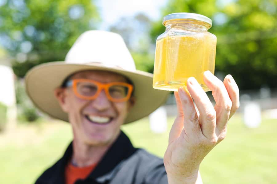 Bowral Honey Farm Tour, Honey Tasting & morning Tea - What $29 gets you