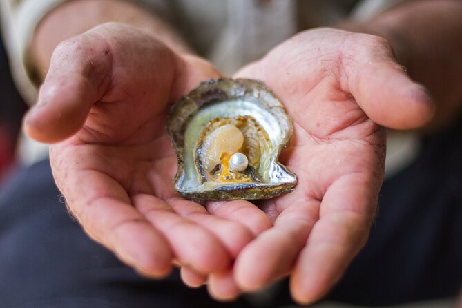 Broken Bay Pearl & Oyster Farm Tours - Is $29 good value?