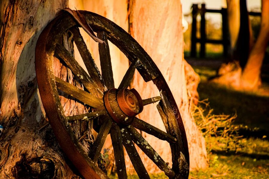 Bucharest: Ranch with Domestic Animals Day Trip - Who will enjoy this half-day most