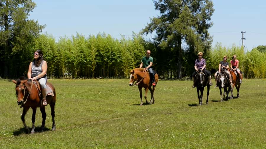 Buenos Aires: Don Silvano Ranch Gaucho Day Trip - Key points at a glance