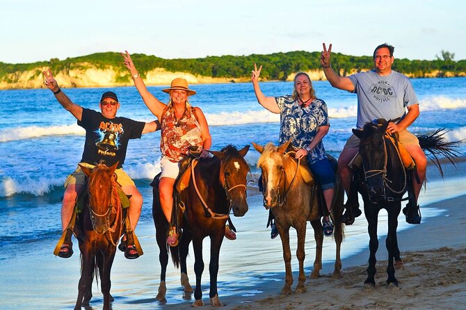 Buggy, horse and plantation ranch - The people make the difference