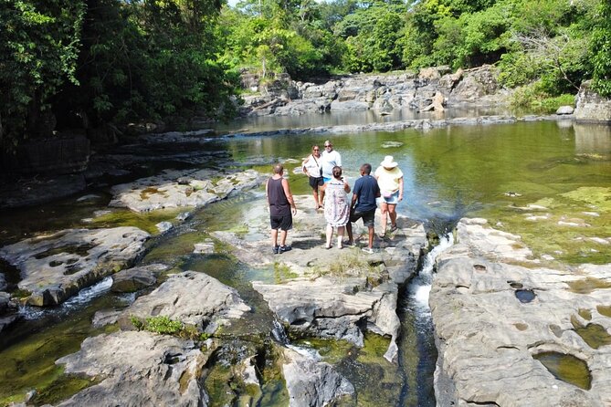 Buggy Ride, Horseback, Zipline,Eco Farm,Macao Beach - What $130 really buys you