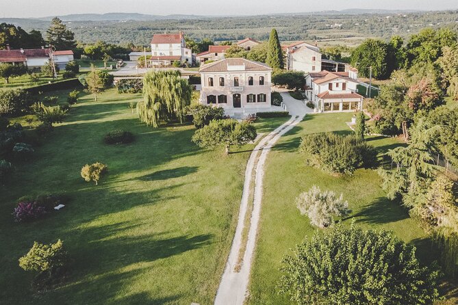 Buje: Authentic Istrian family farm, guided walk, foods & wine - A working farm rather than a staged food stop
