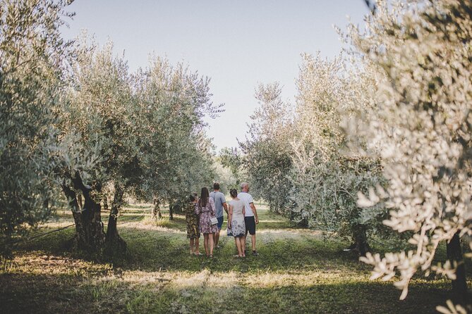 Buje: Authentic Istrian family farm, guided walk, foods & wine - Under the tree, the farm becomes a generous lunch table
