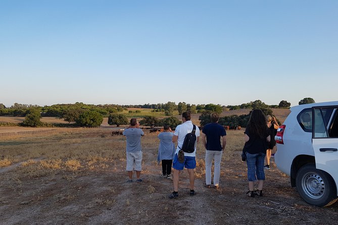Bull Breeding Farm: Guided Half-Day Tour from Seville - Should you book the Bull Breeding Farm tour?