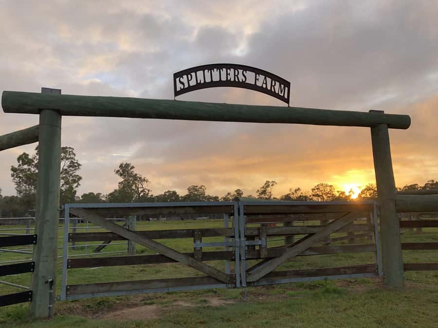 Bundaberg: Family-Friendly Entry Ticket to Splitters Farm - Key points at a glance