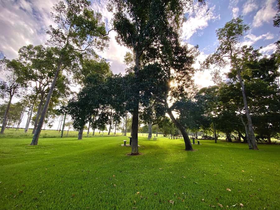 Bundaberg: Family-Friendly Entry Ticket to Splitters Farm - Meeting the animals at Splitters Farm