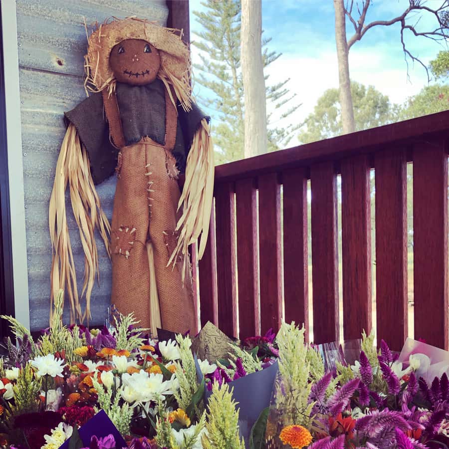 Bundaberg: Family-Friendly Entry Ticket to Splitters Farm - How the one-hour walk works