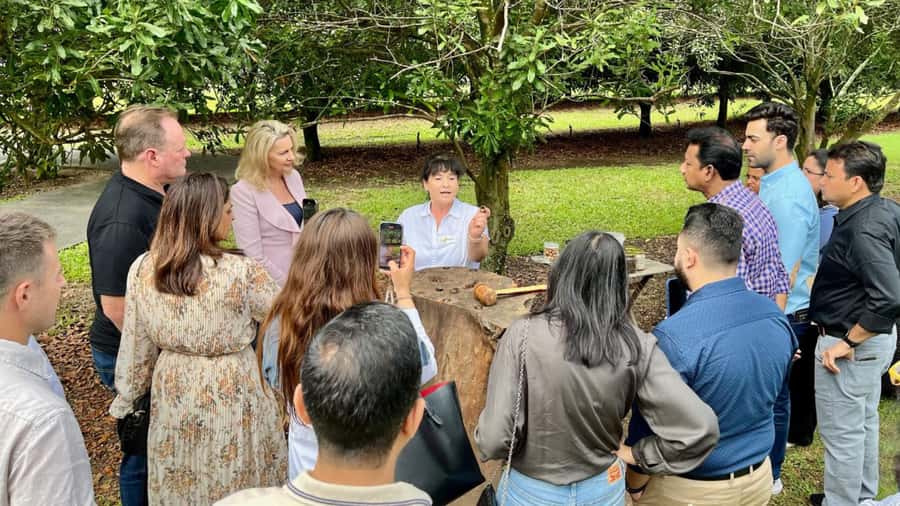 Bundaberg: Macadamia Orchard Tour - A farm visit built around Bundaberg’s signature nut