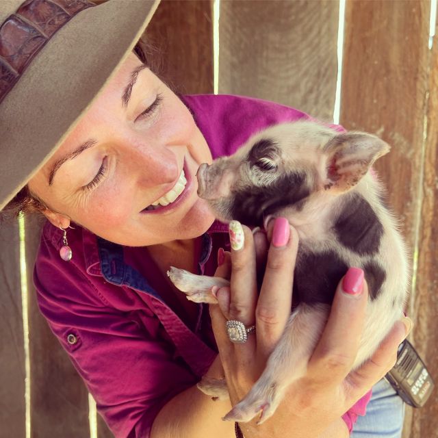 Bundaberg: Splitters Farm Guided Tour - Paddock-to-paddock tour details