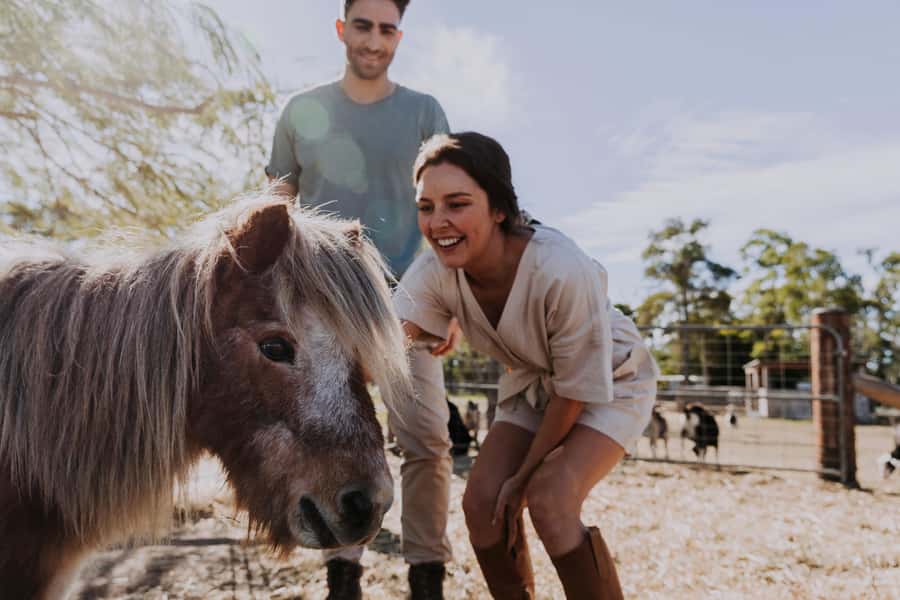 Bundaberg: Splitters Farm Guided Tour - Is $38 good value?