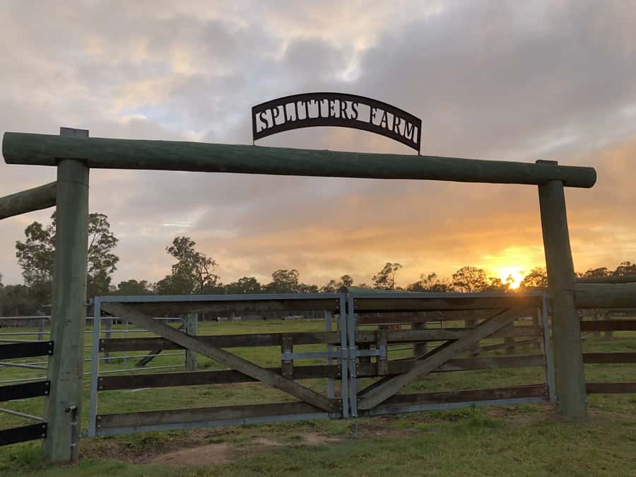 Bundaberg: Splitters Farm Guided Tour - Starting at the main office