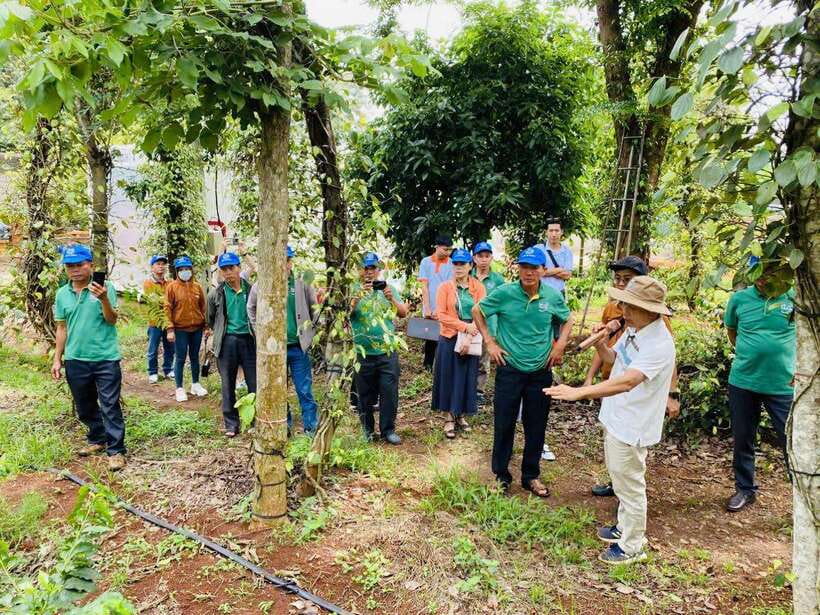 Buon Ma Thuot: Bean to Brew Coffee Farm Tour with Tasting - Who will enjoy this coffee experience?