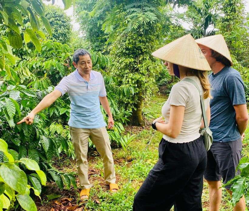 Buon Ma Thuot: Bean to Brew Coffee Farm Tour with Tasting - Arriving at Ea Kao coffee farm