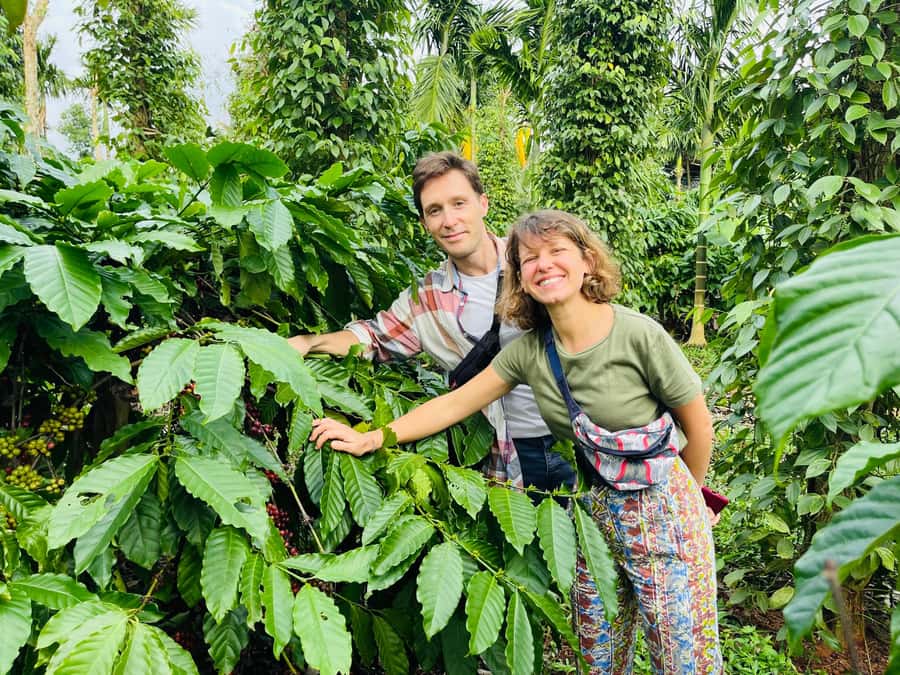 Buon Ma Thuot: Coffee Farm Tour (Bean to Brew) with Pickup - Walking Through Arabica and Robusta Trees