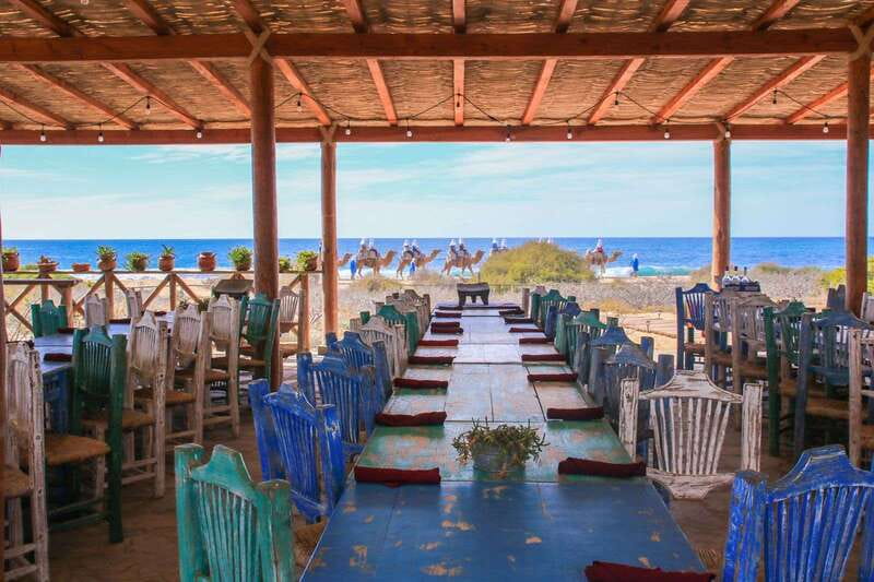 Cabo: Todo Santos Tour with Camel Ranch, Tequila and Lunch - Key points to know before booking