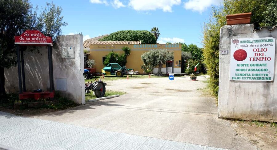 Cagliari Olive Oil Farm & Tasting (Since 1600, 20 Min Away) - Key points to know before you go