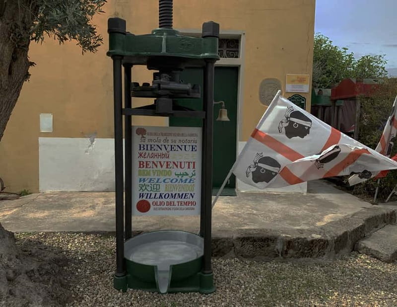 Cagliari Olive Oil Farm & Tasting (Since 1600, 20 Min Away) - Why this olive oil visit is different from a standard tasting
