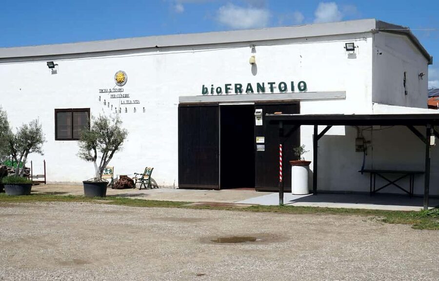 Cagliari Olive Oil Farm & Tasting (Since 1600, 20 Min Away) - The modern mill tour and the olive-to-bottle process