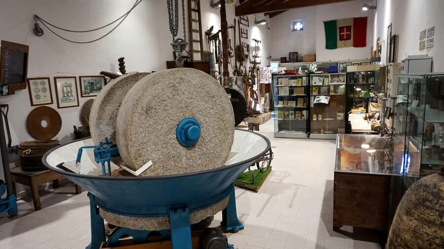 Cagliari Olive Oil Farm & Tasting (Since 1600, 20 Min Away) - The three-oil tasting lesson