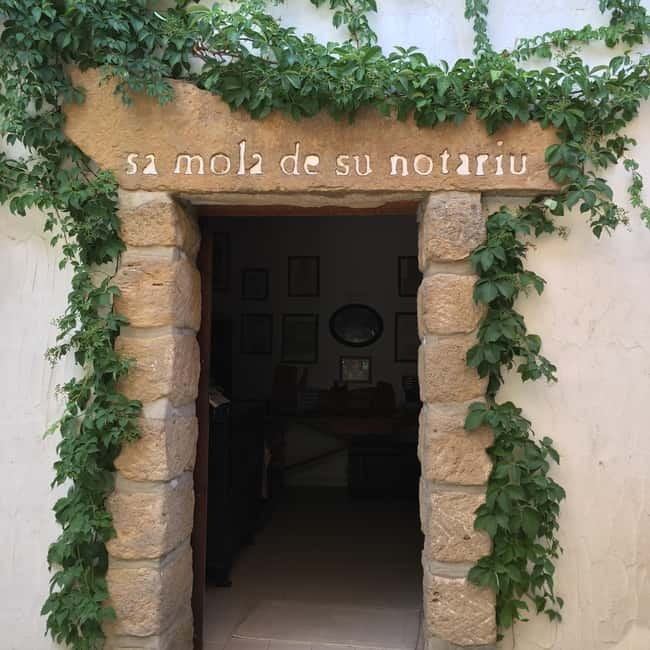 Cagliari Olive Oil Farm & Tasting (Since 1600, 20 Min Away) - Shopping at the mill and the value of $64