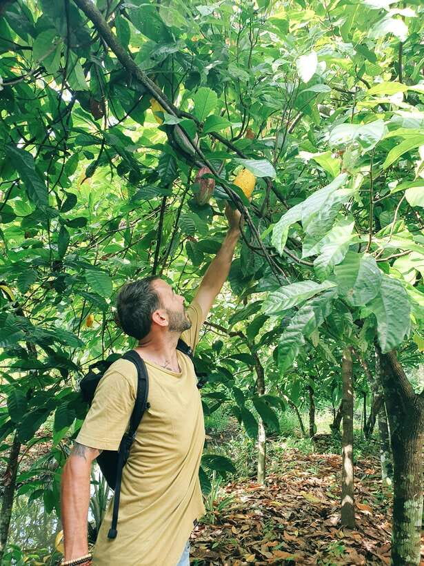 Can Tho: Countryside Cycling Tour with Cocoa Farm Visit - Why this cycling route feels different from a city tour