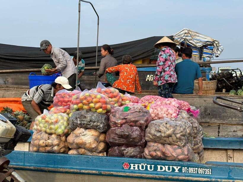 Can Tho: Floating Market, Canal, Cacao Farm & Mekong' Life - Cacao farming, wine, and a final tasting