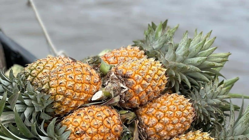 Can Tho: Floating Market explore local life, Mekong farm - Why the 5:30 AM start is worth considering
