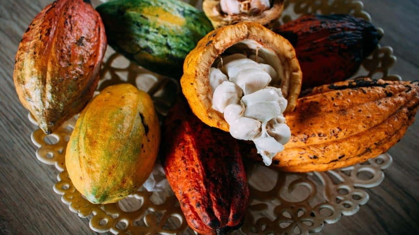 Can Tho: Floating Market explore local life, Mekong farm - Optional cooking class until about 3 PM