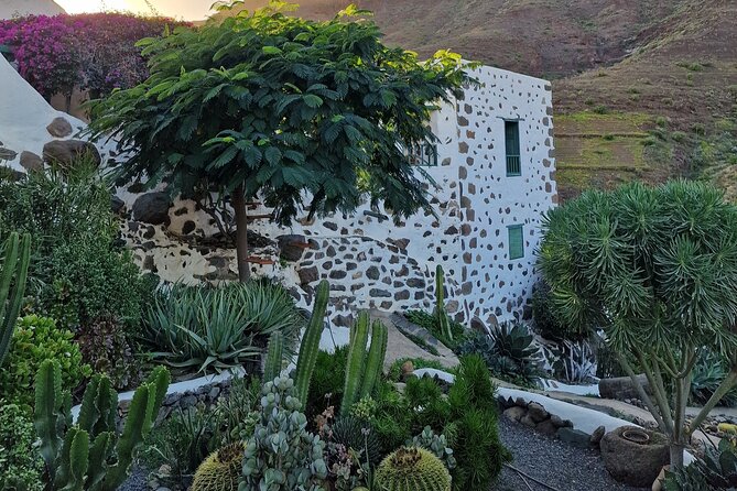 Canarian farmhouse in Mogan, mango farm and vermouth factory - Cold mango and yogurt soup with chocolate cubes