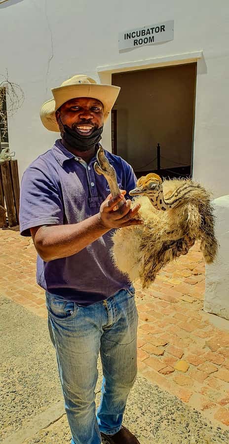 CAPE TOWN: OSTRICH RANCH QUAD BIKE RIDE & OSTRICH TOUR - The quad bikes: fun, rough, and not built for speed