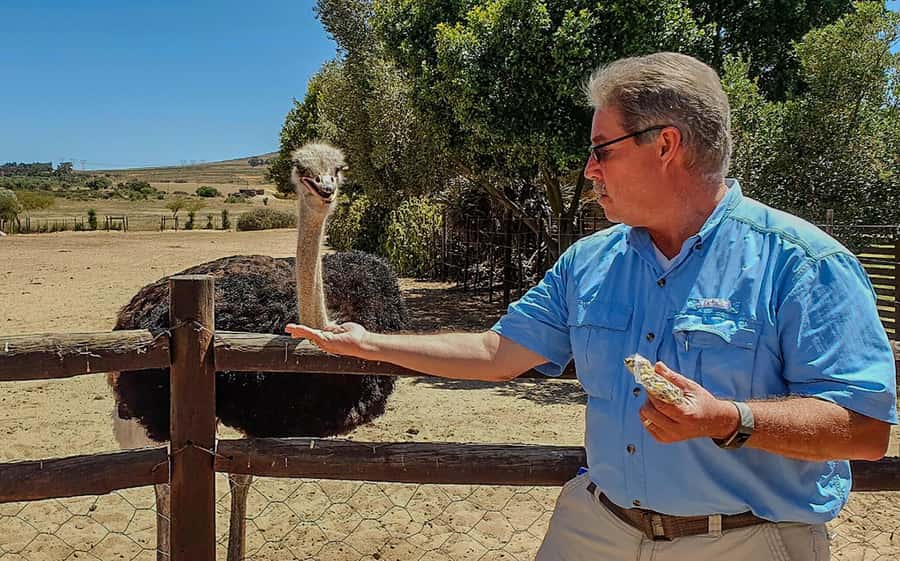 CAPE TOWN: OSTRICH RANCH QUAD BIKE RIDE & OSTRICH TOUR - Views of Table Mountain and the Cape Winelands