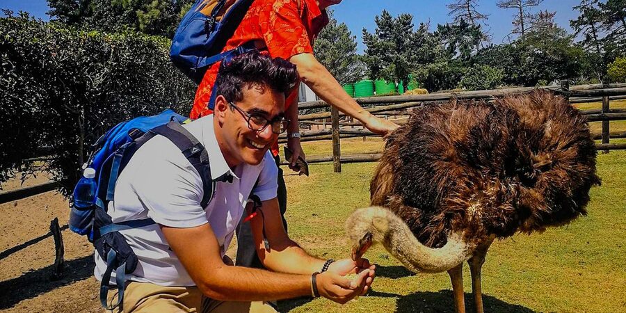 CAPE TOWN: OSTRICH RANCH QUAD BIKE RIDE & OSTRICH TOUR - Is $62 a fair price?