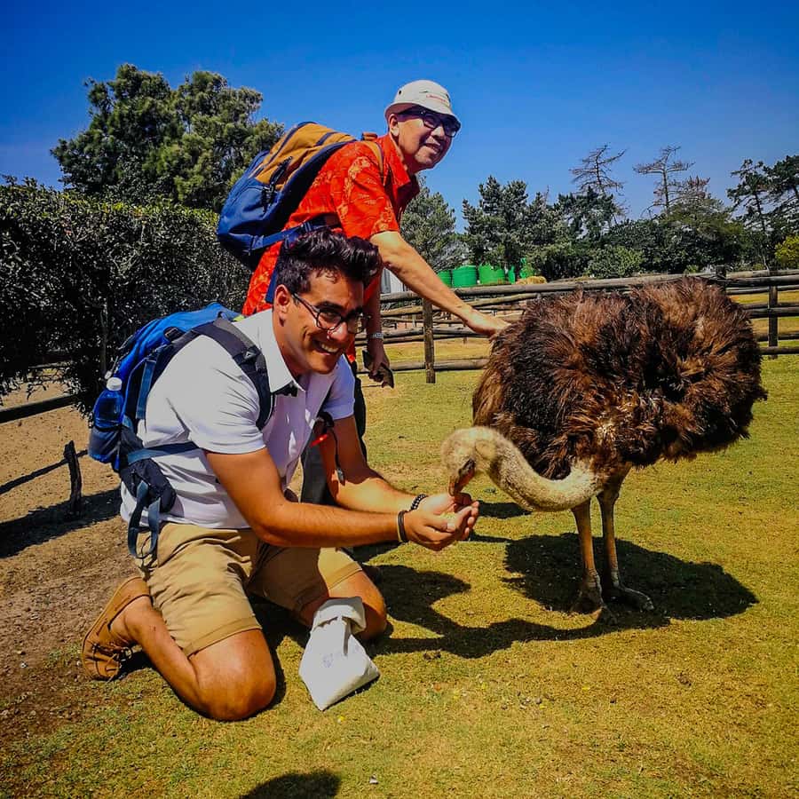 CAPE TOWN: OSTRICH RANCH QUAD BIKE RIDE & OSTRICH TOUR - What happens during the two-hour visit