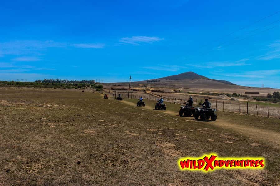 CAPE TOWN: QUAD BIKE FUN RIDE AT OSTRICH RANCH, DURBANVILLE - Key points before you book