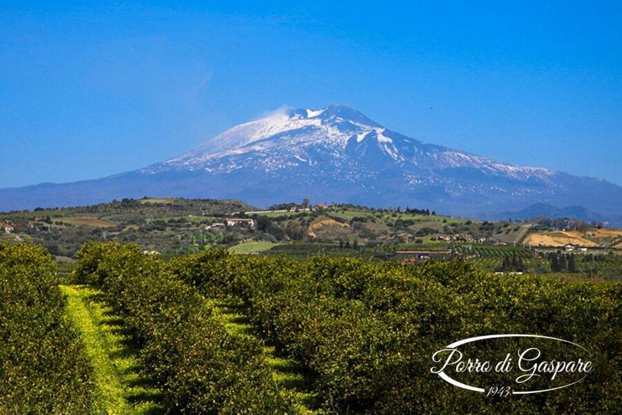 Catania: Pozzo di Gaspare Farm Guided Tour with Tastings - The 18th-century well and farmhouse
