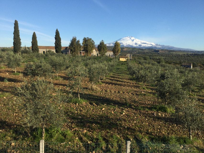 Catania: Pozzo di Gaspare Farm Guided Tour with Tastings - Is $41 a fair price for two hours?