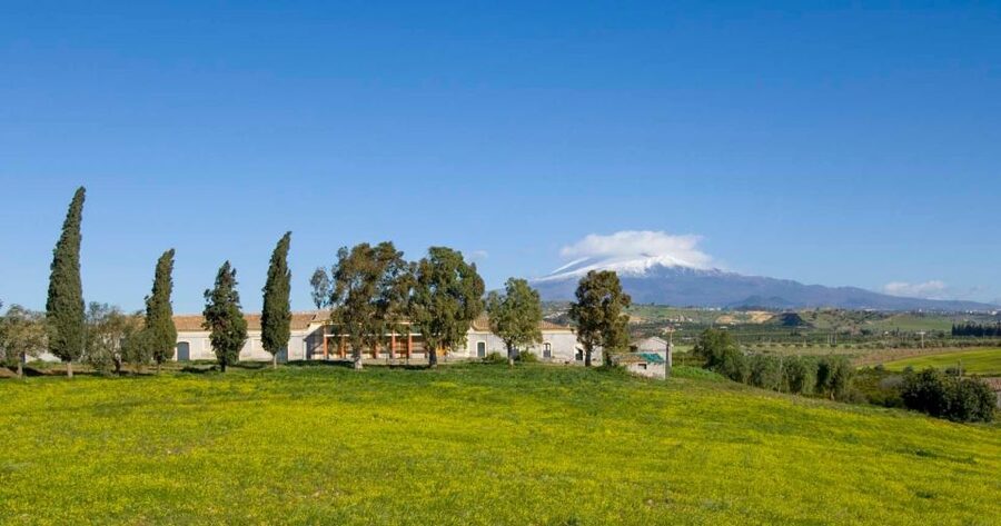 Catania: Pozzo di Gaspare Farm Guided Tour with Tastings - Who will enjoy this farm visit most?