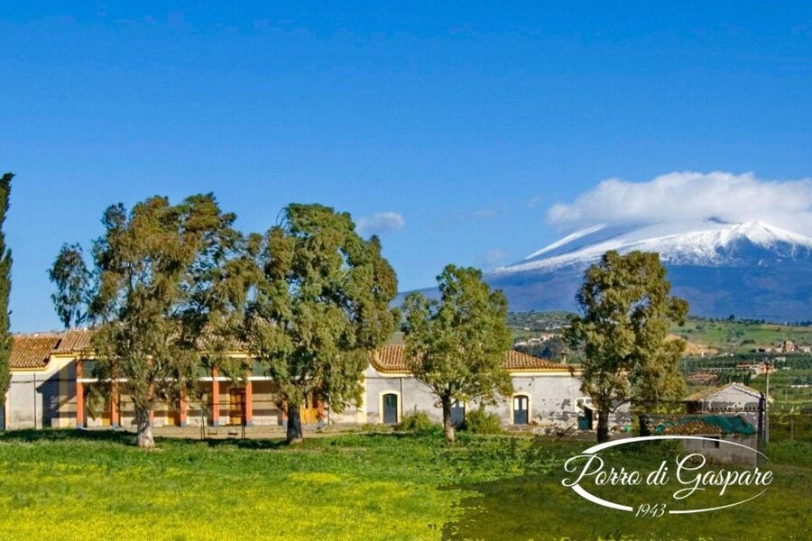 Catania: Pozzo di Gaspare Farm Guided Tour with Tastings - Practical advice for planning your visit