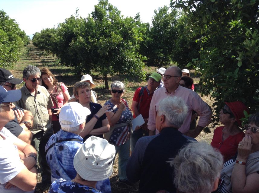 Catania: Pozzo di Gaspare Farm Guided Tour with Tastings - Should you book Pozzo di Gaspare?
