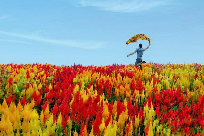 Cebu: Private Twin City Tour +Temple of Leah + Sirao Flower Farm - Temple of Leah sets the tone