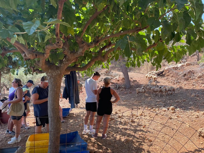 Chania Area: Cooking Class at a Farm in Stylos Village - What the five-hour format really means