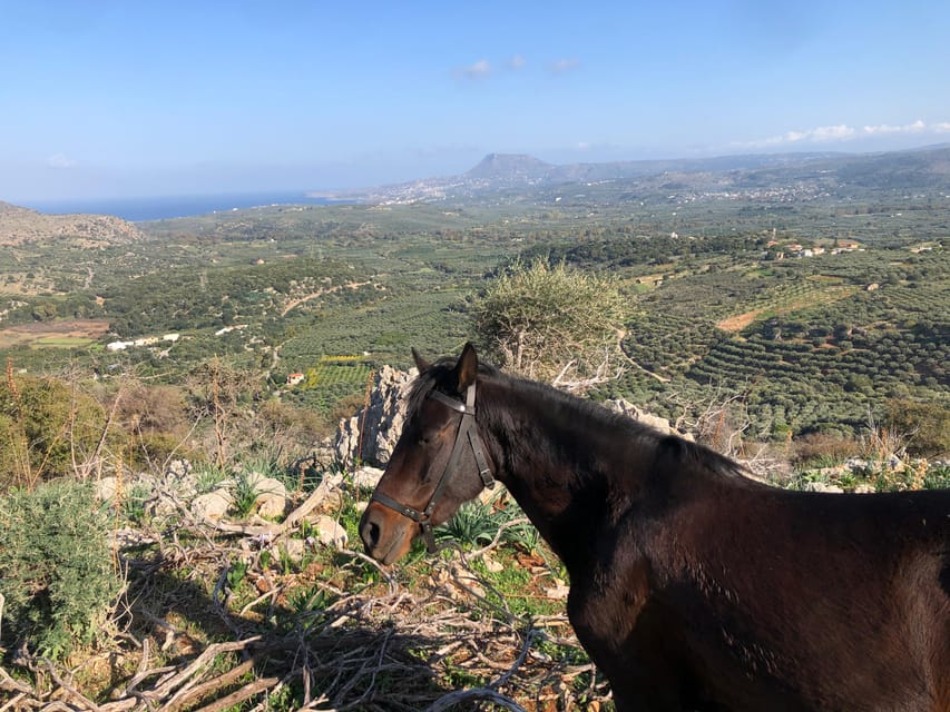 Chania Area: Cooking Class at a Farm in Stylos Village - Who will enjoy this Cretan cooking class