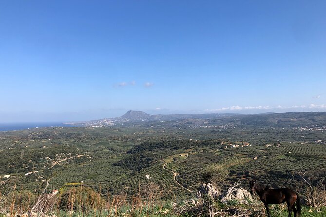 Chania Area: Cooking Class at a Farm in Stylos Village (organic) - Why this feels like a village visit, not just a cooking class